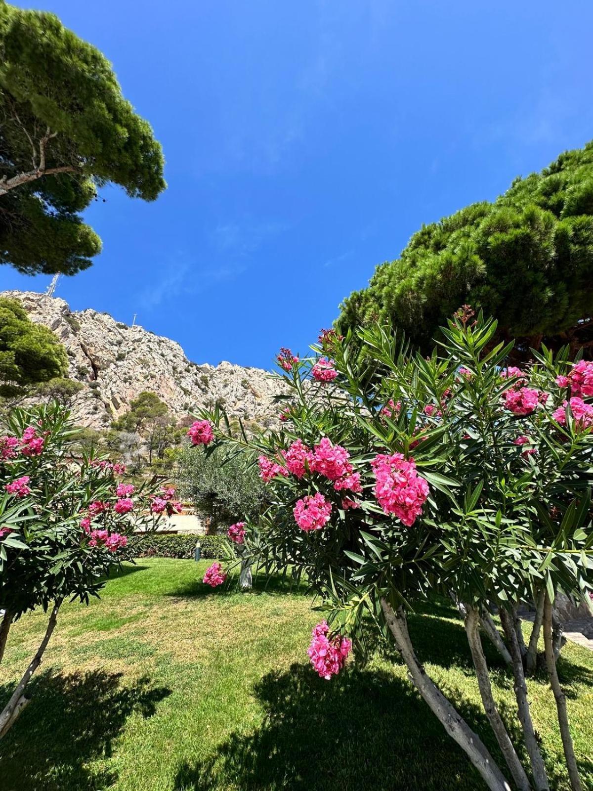 Mediterrania 98 Torroella de Montgrí Dış mekan fotoğraf