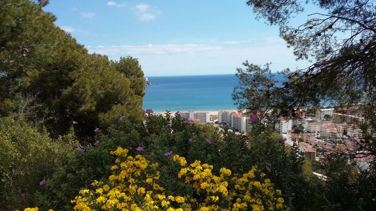 Mediterrania 98 Torroella de Montgrí Dış mekan fotoğraf