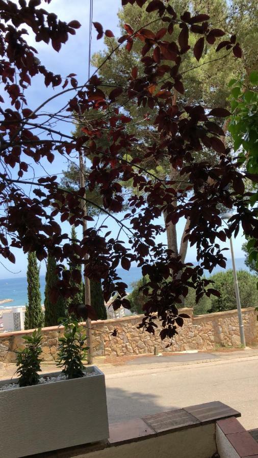 Mediterrania 98 Torroella de Montgrí Dış mekan fotoğraf