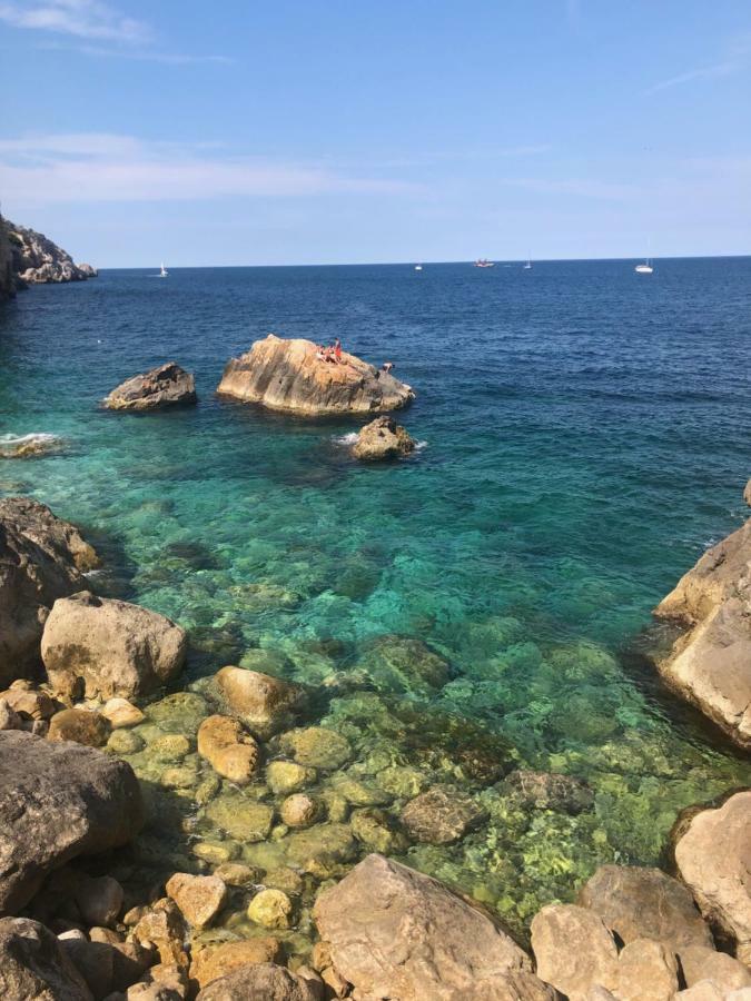 Mediterrania 98 Torroella de Montgrí Dış mekan fotoğraf