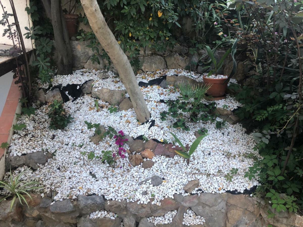 Mediterrania 98 Torroella de Montgrí Dış mekan fotoğraf